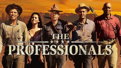 The Professionals Poster Landscape Image