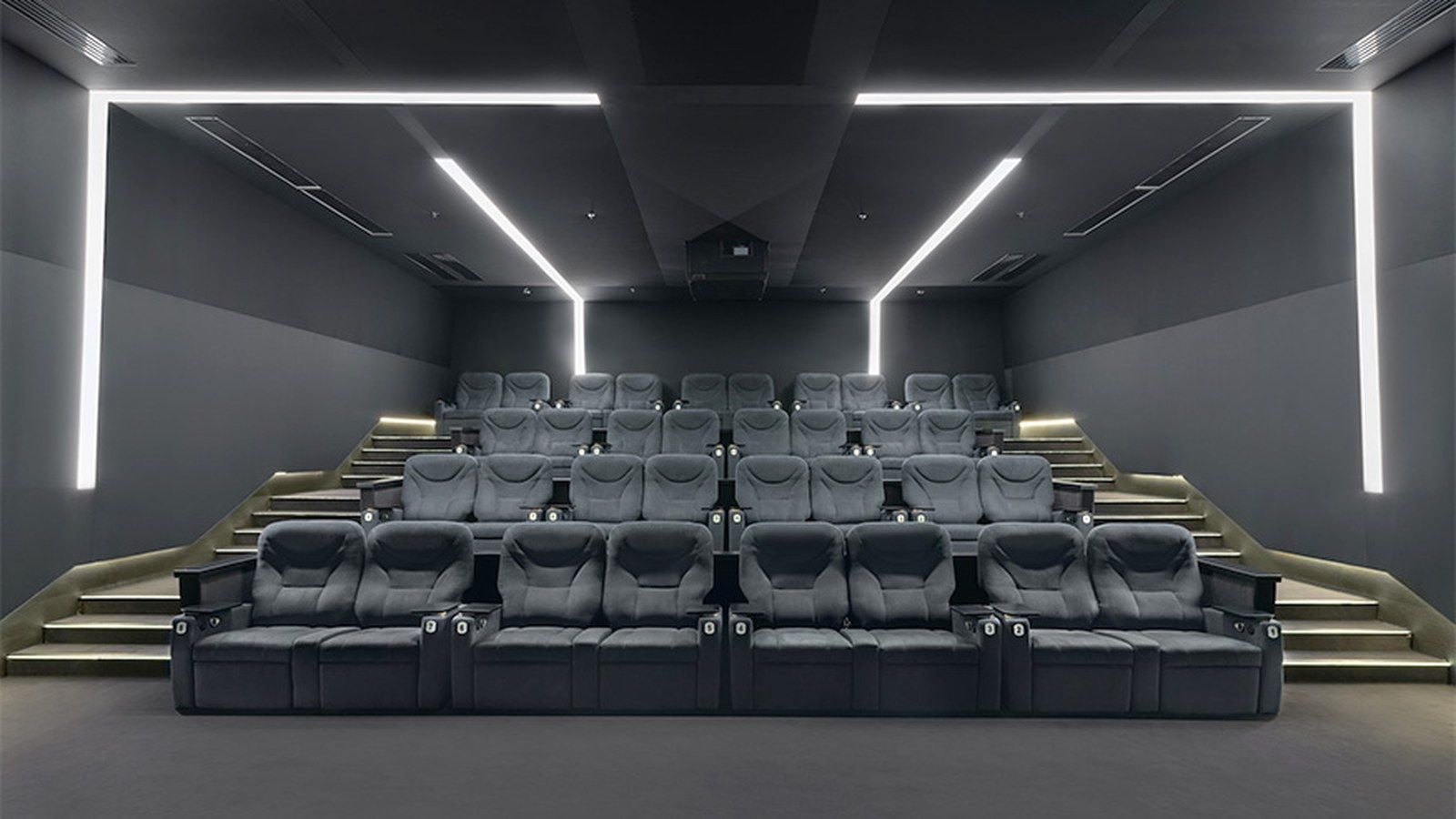 Multiplex, Lavina