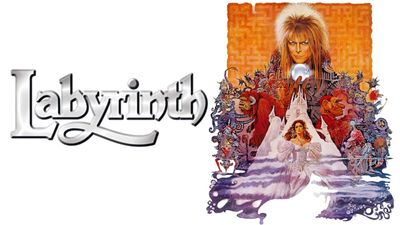 Labyrinth Poster Landscape Image