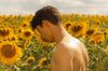 Sunflower in English at cinemas in Paris