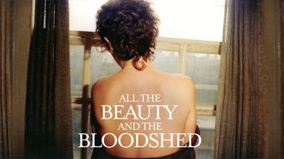 All the Beauty and the Bloodshed Poster Landscape Image