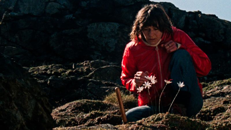 Enys Men Poster Landscape Image