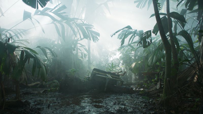 Transamazonia Poster Landscape Image