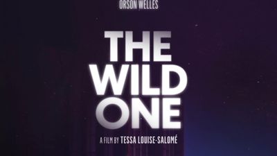 The Wild One Poster Image