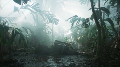 Transamazonia Poster Landscape Image