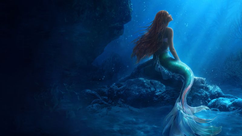 The Little Mermaid Backdrop Image