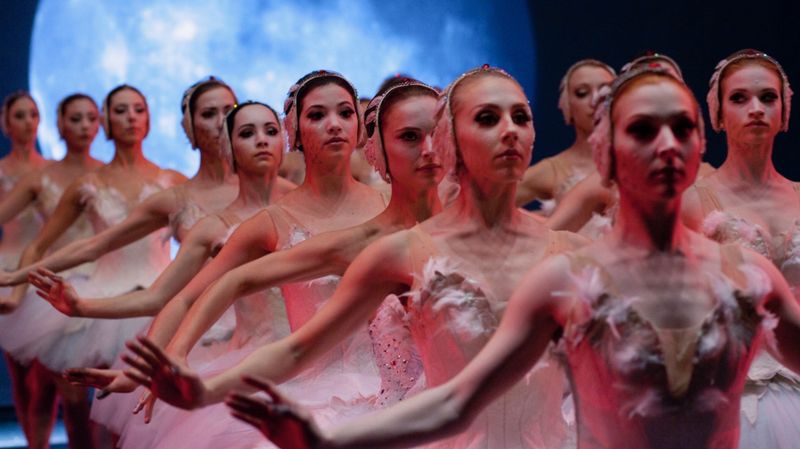 Black Swan Backdrop Image