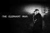 The Elephant Man in English at cinemas in Kyiv